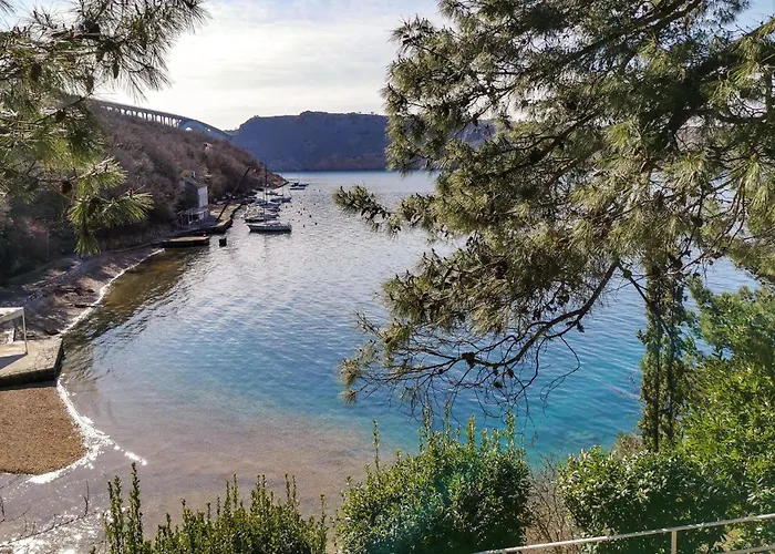 Amazing In With Wifi 克拉列维察